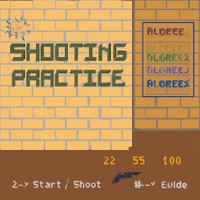 SHOOTING PRACTICE