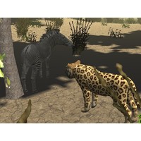 African Cheetah Hunting Simulator