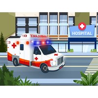 Ambulance Driver