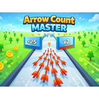 Arrow Count Master