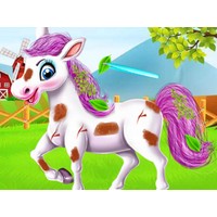Baby Taylor Cute Pony Care