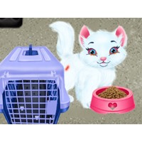 Baby Taylor Pet Care