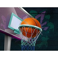 Basketball GOAT