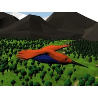 Bird Simulator