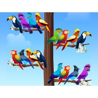Bird Sort Puzzles