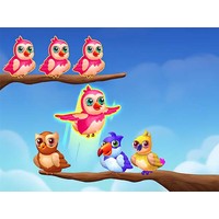 Birds Sort Color Match Puzzle