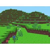 Block Craft