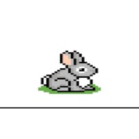 Brave rabbit.1