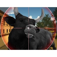 Bull Shooting