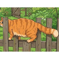 Cat Escape 2026