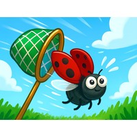 Catch Insect