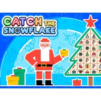 Catch The Snowflake