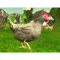 Chicken Shooting