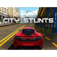 City Car Driving Simulator