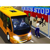 City Minibus Driver
