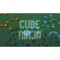 Cube Ninja