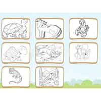 Desert Animals Coloring Book