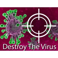 Destroy The Corona Virus