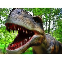 Dinosaurs Scary Teeth Puzzle