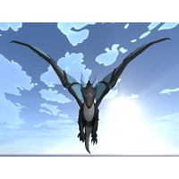 Dragon Simulator