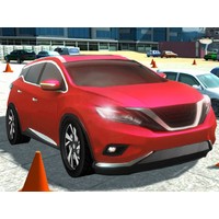 Driving Test Simulator