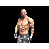 Fight Arena Online