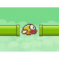 Flappy Birds Smash