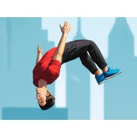 Flip Master