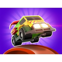 Flyway Duo Race