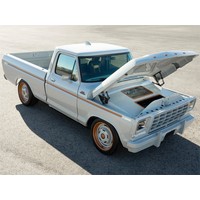 Ford F-100 Eluminator Slide
