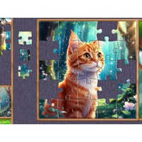 Fragments of Wonder