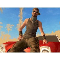 Free Rally: Vice