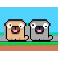Friends Pug