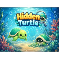 Hidden Turtle