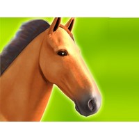 Horse Run 3D