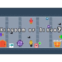 Kingdom of Ninja 7