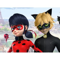 LadyBug Jigsaw Puzzle Collection