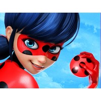 LadyBug Popstar Dress up