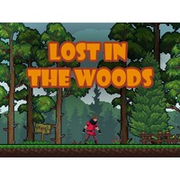 Lost in the Woods