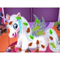 Magic Pet Salon