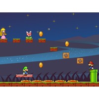 Mario Bros Save Princess