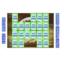 Memory Challenge