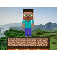 Mine Survival
