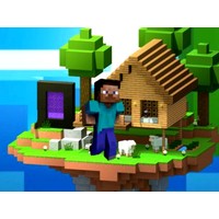 Minecraft Steve Hook Adventure