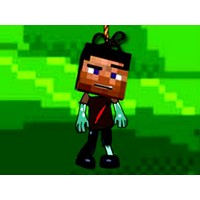 Minecraft Zombie Survial