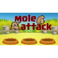 Mole Attack