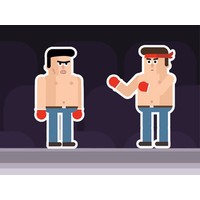Mr Fight