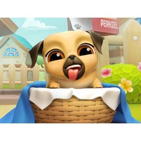 My Cute Puppy Grooming 3D