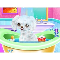 My New Poodle Friend