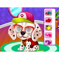My Puppy Daycare Salon